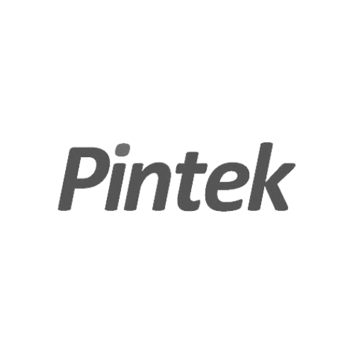 Client Logo Pintek Greyscale